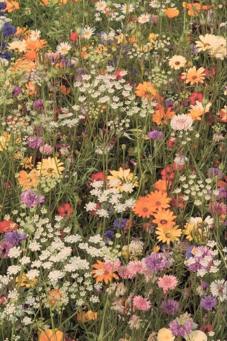 the garden party collection