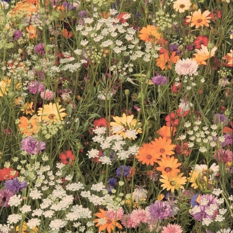the garden party collection